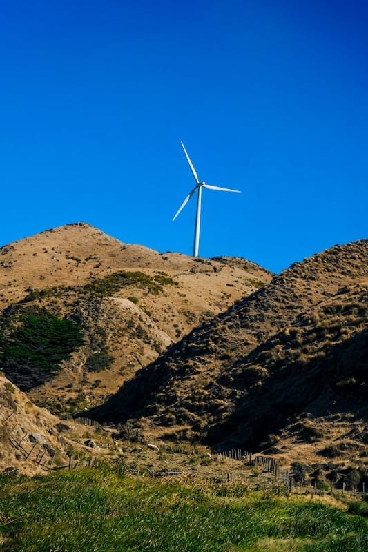 SMTL Durabilité Éoliennes dans un champ avec des vaches